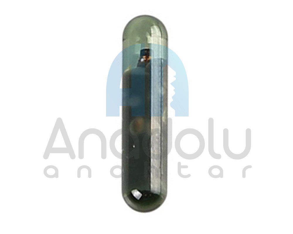 9269 | Transponder CN6 Cam Megamos