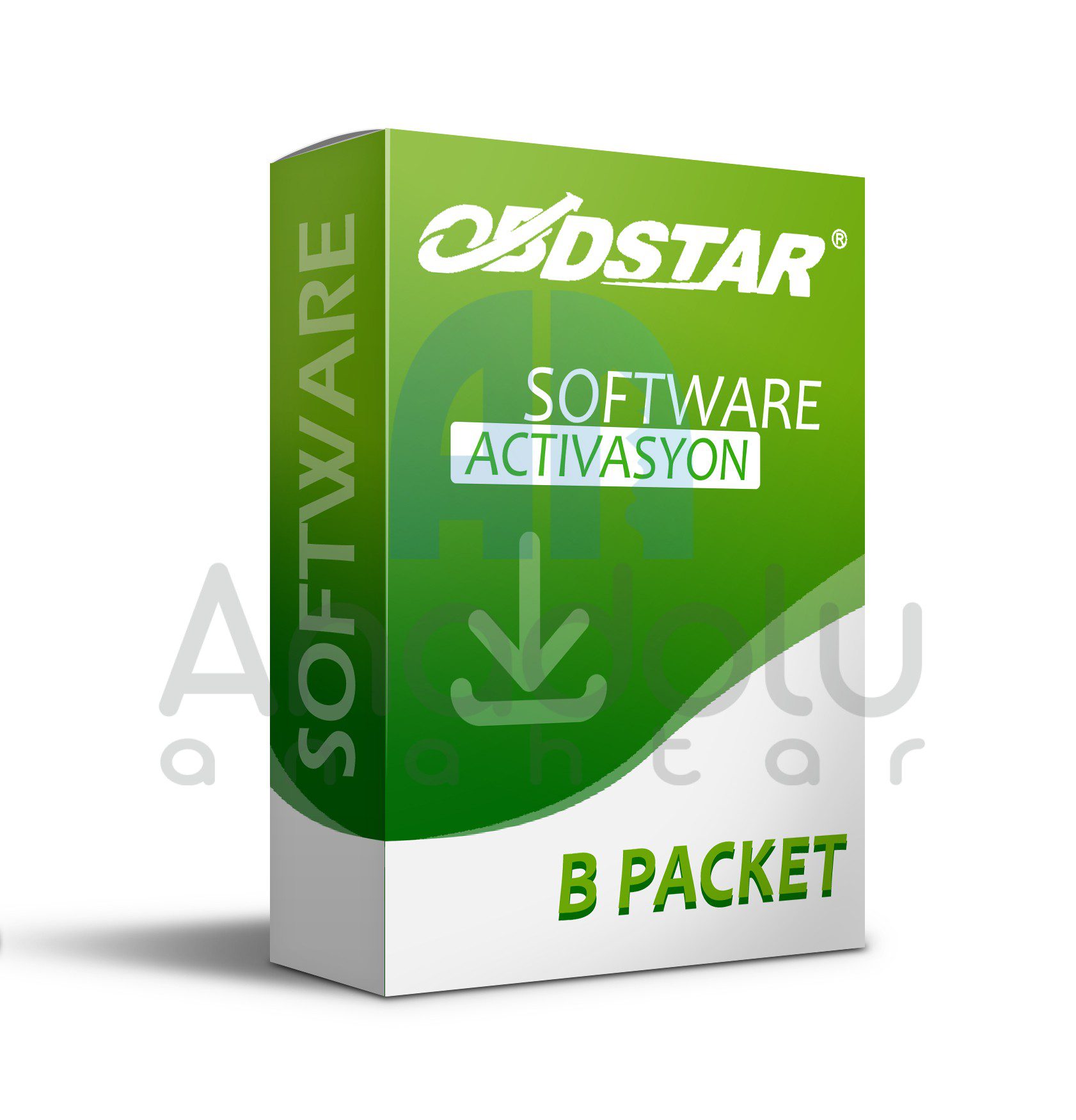 8214 | OBDStar X300 DP Plus ve Key Master DP Plus B Paketi 1 Yıllık Güncelleme Aboneliği