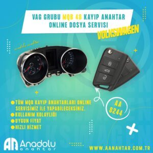 8244 | VAG Grubu MQB 48 Kayıp Anahtar Online Dosya Servisi